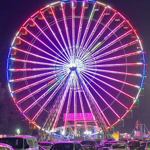 Meet your Posher, Izzy